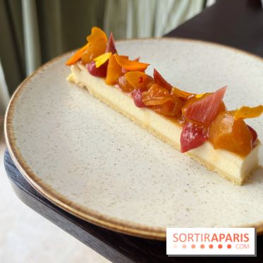 Matka - Cheesecake rhubarbe