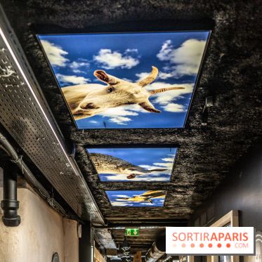 Musée du Fromage à Paris, les photos -  A7C6725