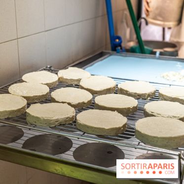 Musée du Fromage à Paris, les photos -  A7C6712