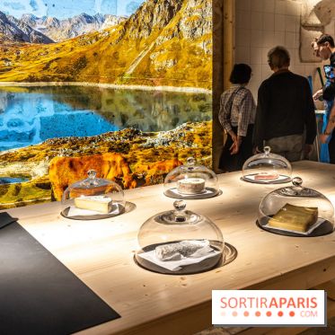 Musée du Fromage à Paris, les photos -  A7C6687