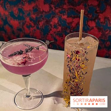 Chez Gala - image00064