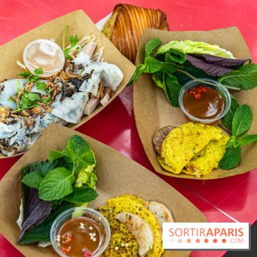 Ici Vietnam Festival à Paris - photos  -  A7C6968