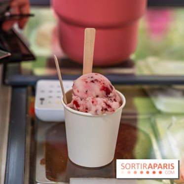 Ici Vietnam Festival à Paris - photos  -  A7C6983