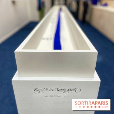 Les Bleus rencontrent Yves Klein - IMG 1922