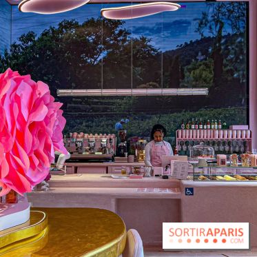 Le Café de la Rose Lancôme par Nina Métayer sur les Champs-Elysées à Paris - Exposition Siège Social Sisley   image00051   1086303