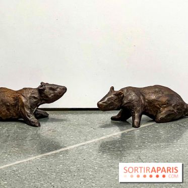 Exposition de Nina Jayasuriya chez Sisley - image00014