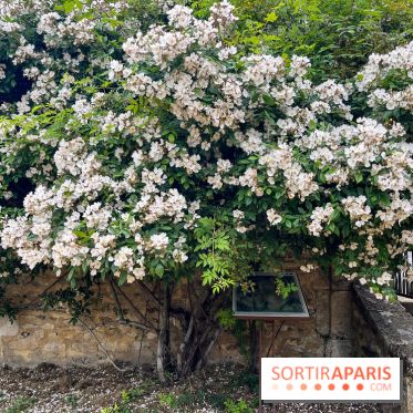 Potager-Fruitier de la Roche Guyon - nos photos