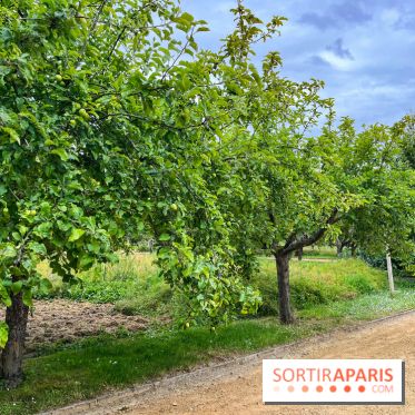 Potager-Fruitier de la Roche Guyon - nos photos