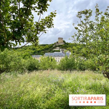 Potager-Fruitier de la Roche Guyon - nos photos
