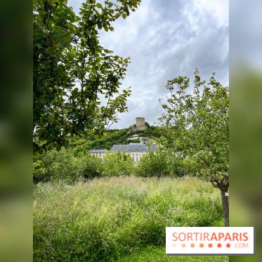 Potager-Fruitier de la Roche Guyon - nos photos - image00028