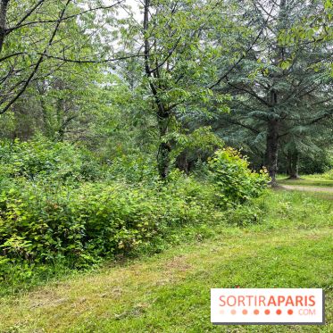 Arboretum de la Roche-Guyon - nos photos - image00011