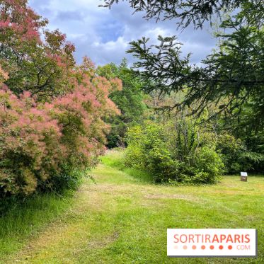 Arboretum de la Roche-Guyon - nos photos