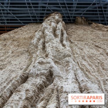 Ligne 14 : révélation de la gare Hôpital Bicêtre - IMG 5312