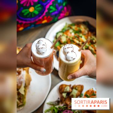 Brunch indien à Paris par Baranaan et Pingwoo -  lassis rose et mangue