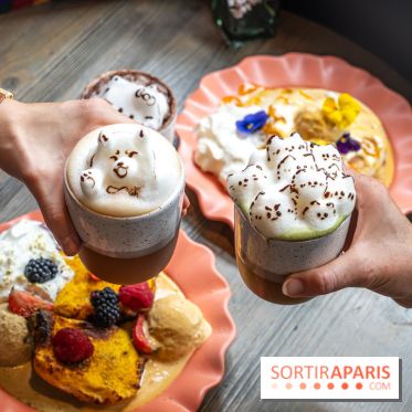 Brunch indien à Paris par Baranaan et Pingwoo -  Latte chat 3D