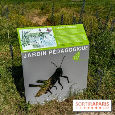 Le Parc du peuple de l'herbe dans les Yvelines - Étang de Galiotte - Carrières-sous-Poissy