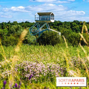 Le Parc du peuple de l'herbe dans les Yvelines - Étang de Galiotte - Carrières-sous-Poissy