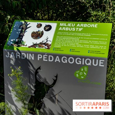 Le Parc du peuple de l'herbe dans les Yvelines - Étang de Galiotte - Carrières-sous-Poissy