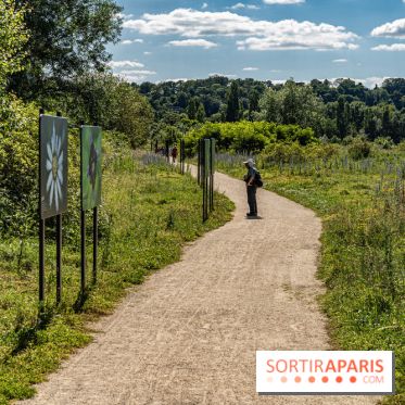 Le Parc du peuple de l'herbe dans les Yvelines - Étang de Galiotte - Carrières-sous-Poissy