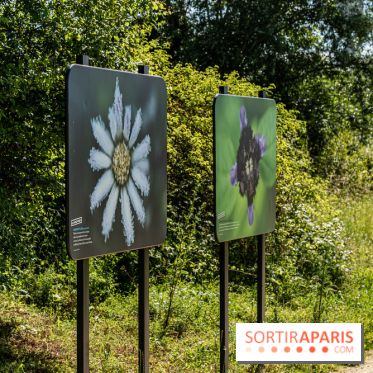 Le Parc du peuple de l'herbe dans les Yvelines - Étang de Galiotte - Carrières-sous-Poissy