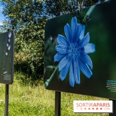 Le Parc du peuple de l'herbe dans les Yvelines - Étang de Galiotte - Carrières-sous-Poissy