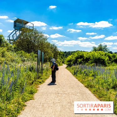 Le Parc du peuple de l'herbe dans les Yvelines - Étang de Galiotte - Carrières-sous-Poissy -  A7C7490