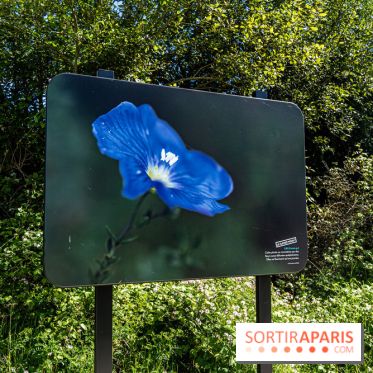 Le Parc du peuple de l'herbe dans les Yvelines - Étang de Galiotte - Carrières-sous-Poissy