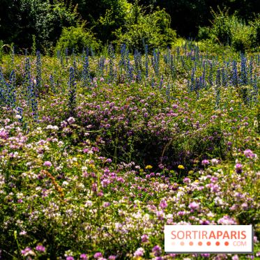 Le Parc du peuple de l'herbe dans les Yvelines - Étang de Galiotte - Carrières-sous-Poissy