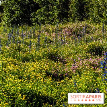 Le Parc du peuple de l'herbe dans les Yvelines - Étang de Galiotte - Carrières-sous-Poissy