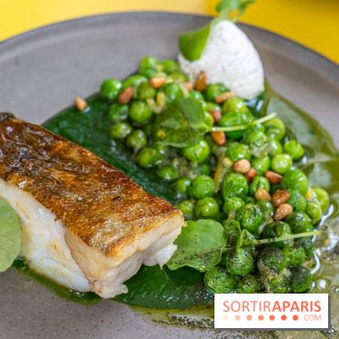 Belle Maison, Bistrot iodé, restaurant de poissons et fruits de mer Paris 9 -  Cabillaud cresson et petits pois 