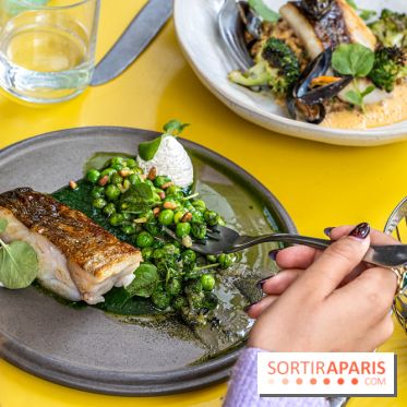 Belle Maison, Bistrot iodé, restaurant de poissons et fruits de mer Paris 9 -  A7C7143