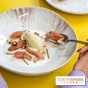 Belle Maison, Bistrot iodé, restaurant de poissons et fruits de mer Paris 9 -  rhubarbe pochée glace mentholée