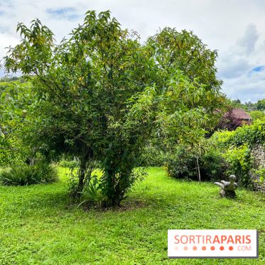 Le Jardin du Yoga à la Roche-Guyon - nos photos