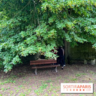 Le Jardin du Yoga à la Roche-Guyon - nos photos