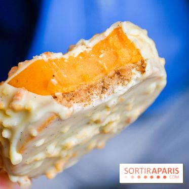 Chariot à glaces Matthieu Carlin Hôtel de Crillon 2024 - DSC 1830