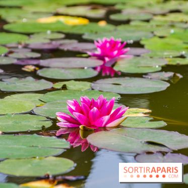 Hellfest 2024 - jeudi 27 juin, nos photos - IMGP3307