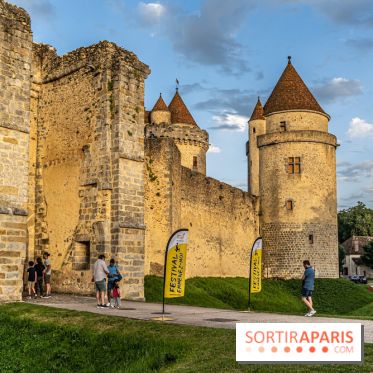 Lumières de Blandy : l'héritage des vicomtes, le spectacle sons et lumières -  A7C7946