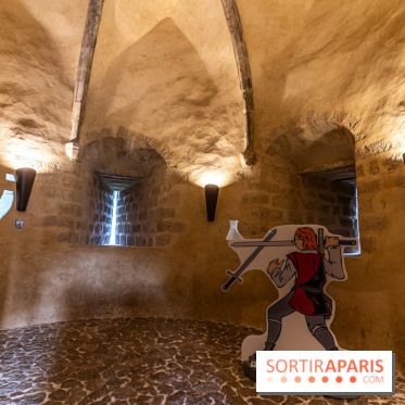 Lumières de Blandy : l'héritage des vicomtes, le spectacle sons et lumières -  A7C7954