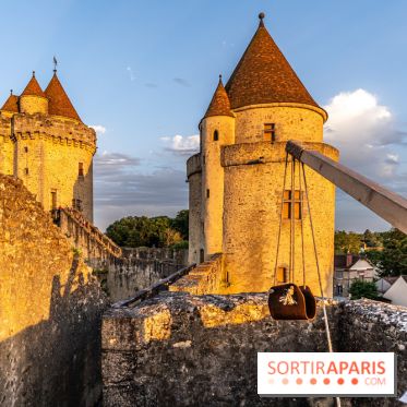 Lumières de Blandy : l'héritage des vicomtes, le spectacle sons et lumières -  A7C7975