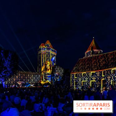 Lumières de Blandy : l'héritage des vicomtes, le spectacle sons et lumières -  A7C8041