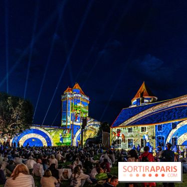 Lumières de Blandy : l'héritage des vicomtes, le spectacle sons et lumières -  A7C8049