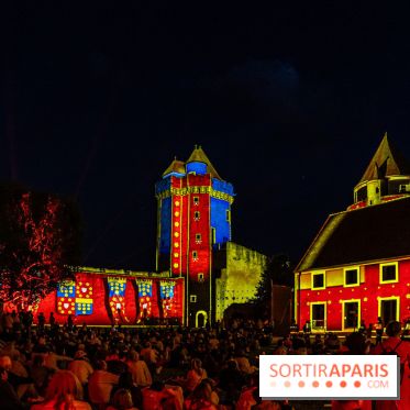 Lumières de Blandy : l'héritage des vicomtes, le spectacle sons et lumières -  A7C8057