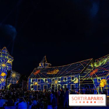 Lumières de Blandy : l'héritage des vicomtes, le spectacle sons et lumières -  A7C8059