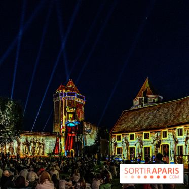Lumières de Blandy : l'héritage des vicomtes, le spectacle sons et lumières -  A7C8086
