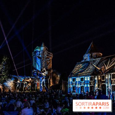 Lumières de Blandy : l'héritage des vicomtes, le spectacle sons et lumières -  A7C8093