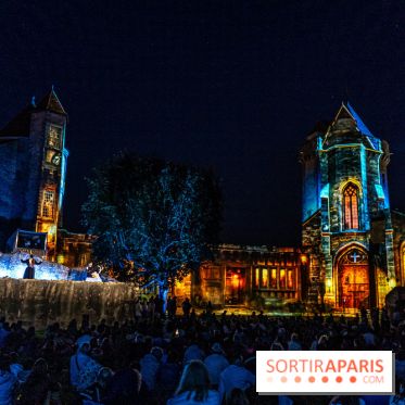 Lumières de Blandy : l'héritage des vicomtes, le spectacle sons et lumières -  A7C8112