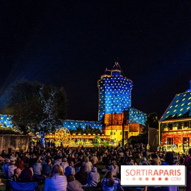 Lumières de Blandy : l'héritage des vicomtes, le spectacle sons et lumières -  A7C8121