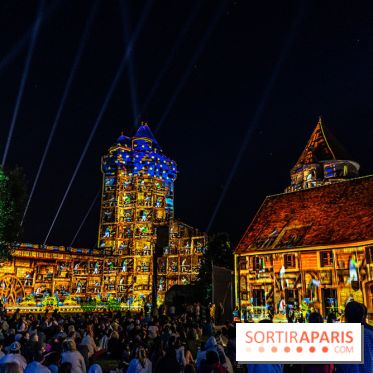 Lumières de Blandy : l'héritage des vicomtes, le spectacle sons et lumières -  A7C8124