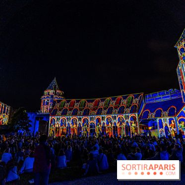 Lumières de Blandy : l'héritage des vicomtes, le spectacle sons et lumières -  A7C8137