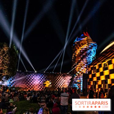 Lumières de Blandy : l'héritage des vicomtes, le spectacle sons et lumières -  A7C8188